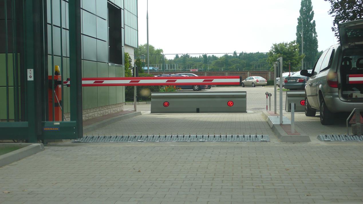 system parkingowy w instytucjach rządowych